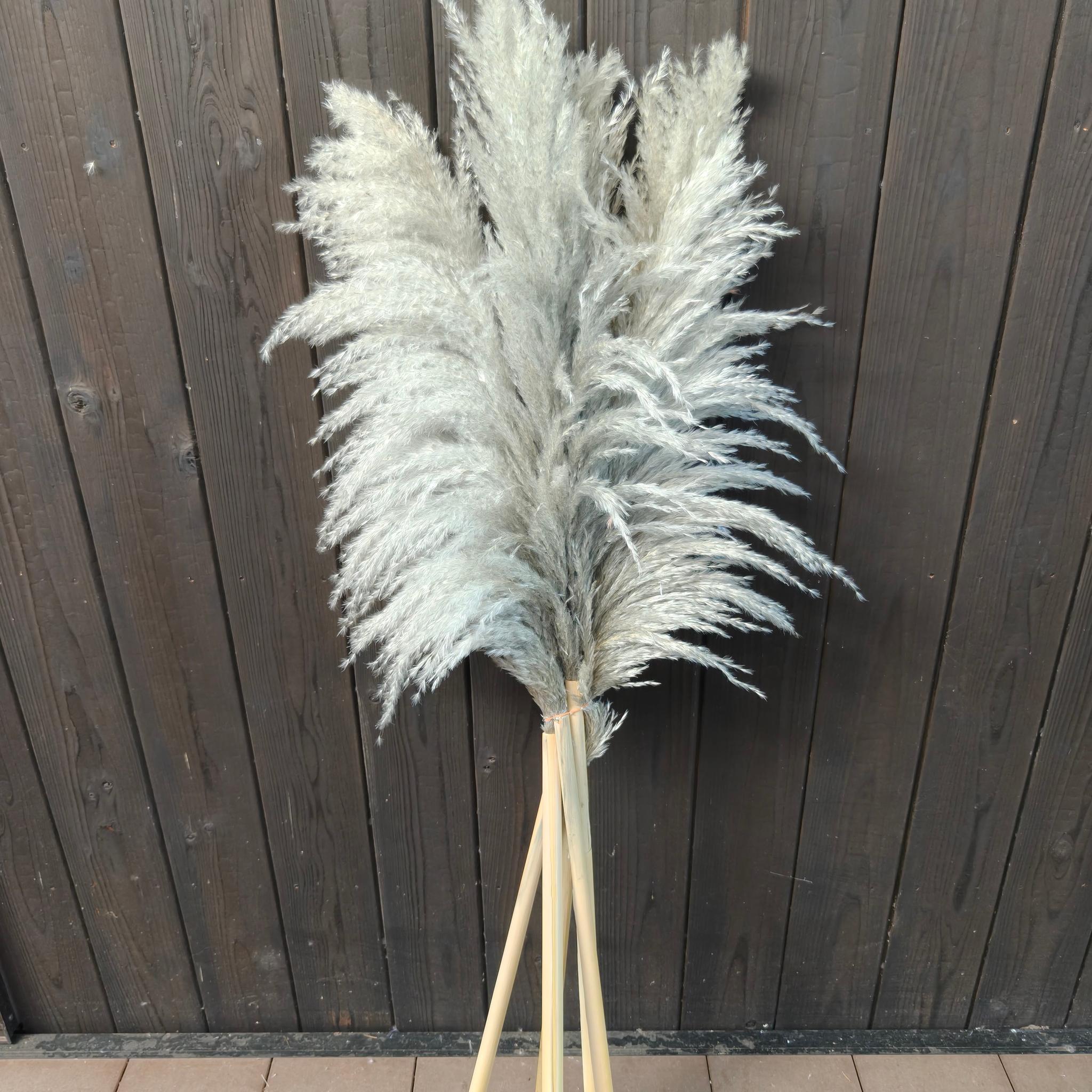 今季！グレージュ、ニュアンスカラーのパンパスグラス  開店祝い ドライフラワーインテリア ウェディング大人クリスマス | 4枚目